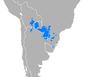 guarani language wikipedia